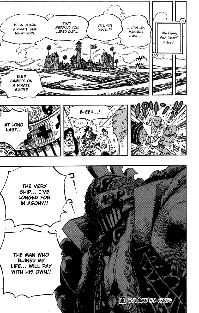 One Piece, Chapter 491 image 19